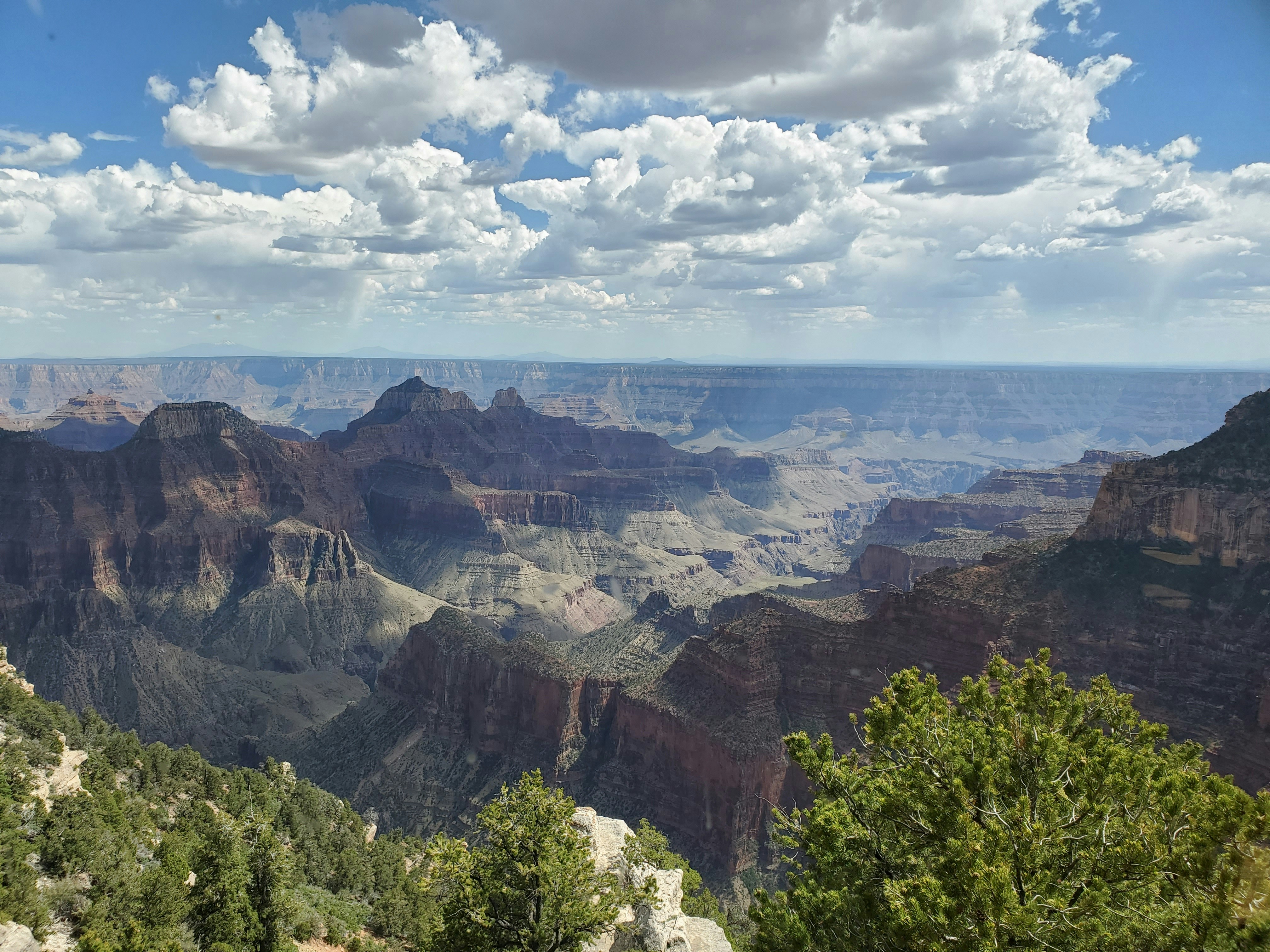 Photo by pmayorphotos