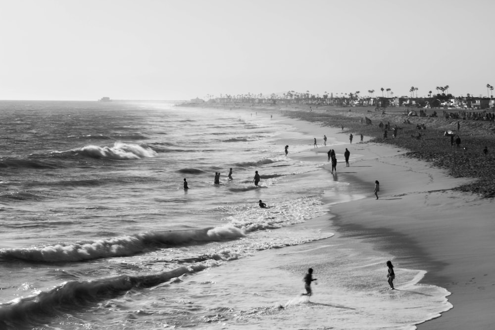 grayscale photo f seashore