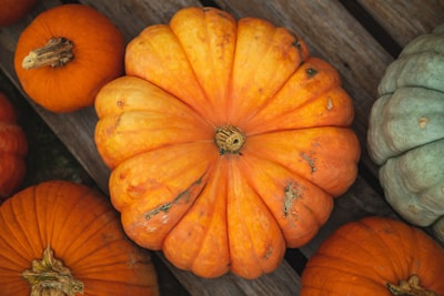 yellow and red squash october google meet background