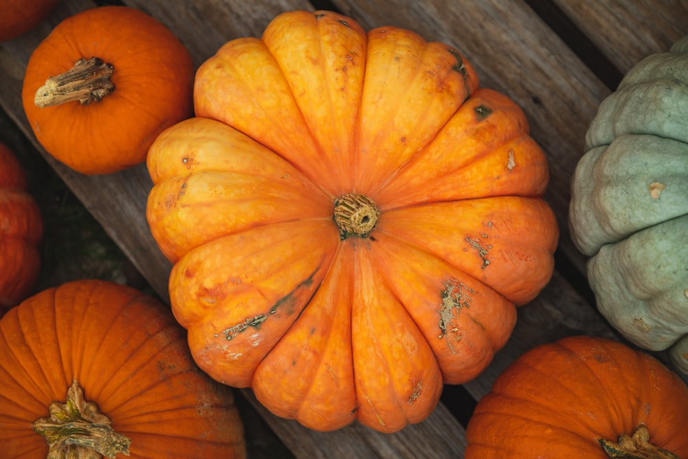 yellow and red squash