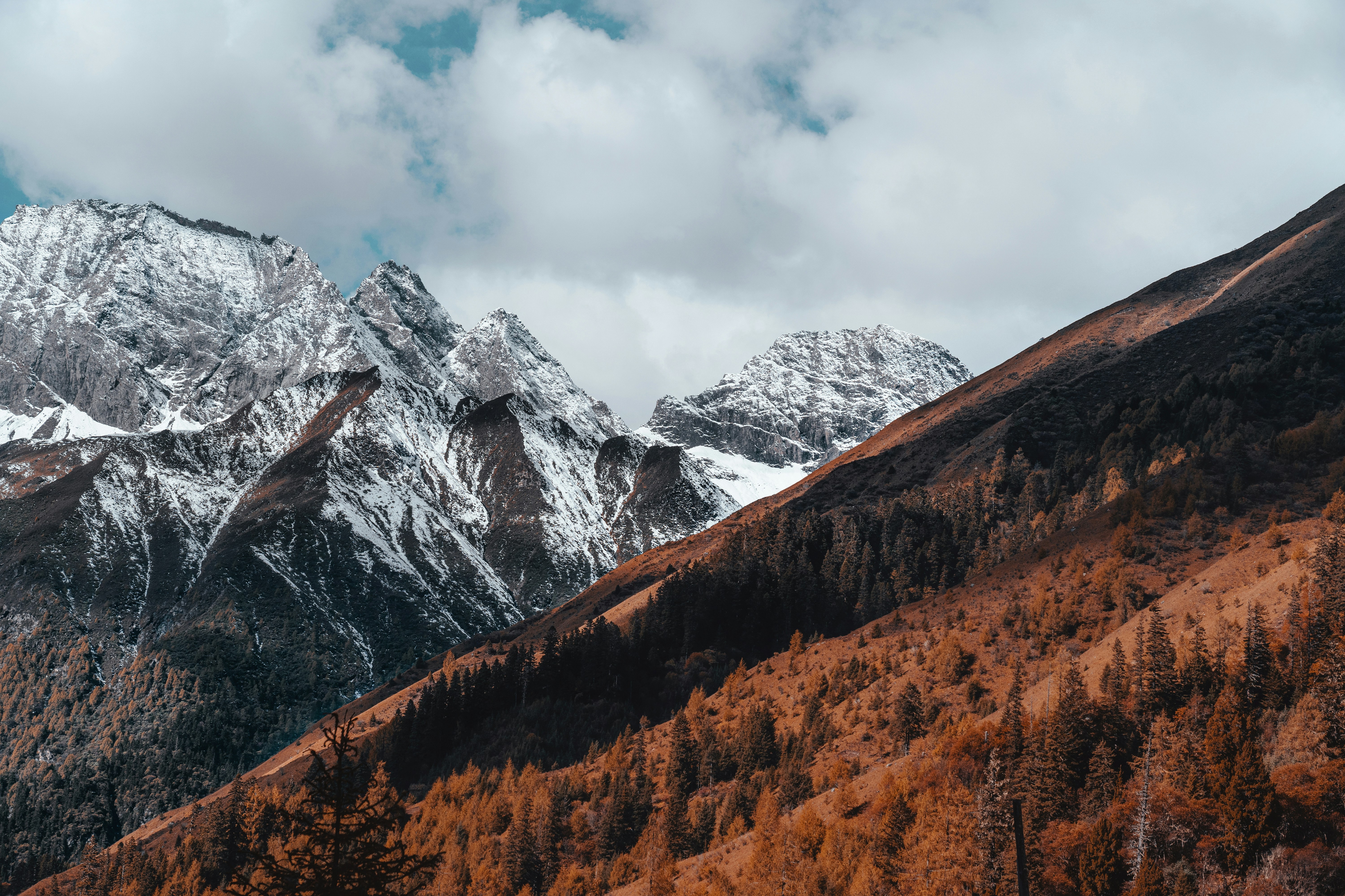 Photo by chengfengrecord