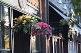 A street view of a restaurant featuring two hanging flower baskets with yellow and pink flowers. The building has a brick facade with signs indicating a pub and restaurant. Carefully placed lighting adorns the exterior, and the warm hues of the sunset reflect off the windows.