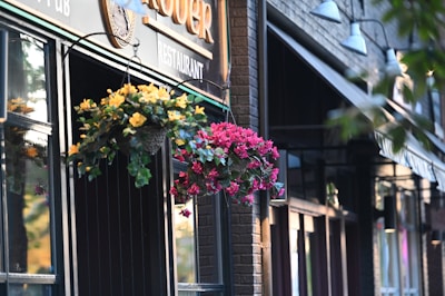 A street view of a restaurant featuring two hanging flower baskets with yellow and pink flowers. The building has a brick facade with signs indicating a pub and restaurant. Carefully placed lighting adorns the exterior, and the warm hues of the sunset reflect off the windows.