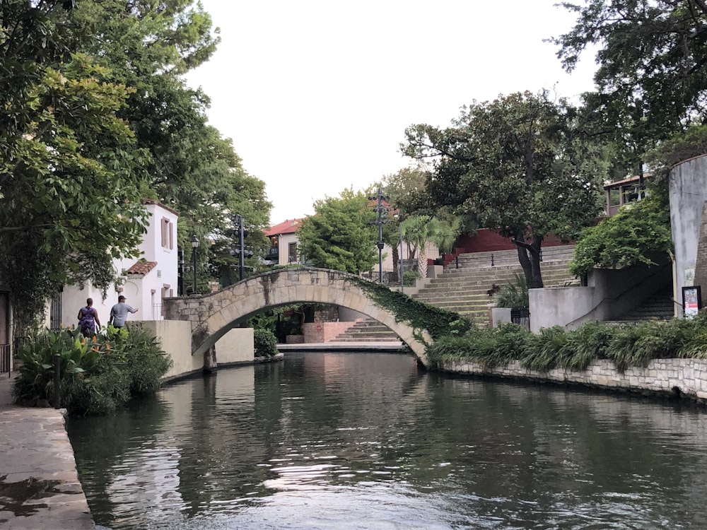 Arbres à côté du pont et plan d’eau calme