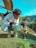 A person wearing a white hoodie and jeans is crouching on grass, interacting closely with a small goat. The scene appears to be outdoors, with a car trunk open in the background and a mountainous landscape visible. Another person is partially visible near the car.