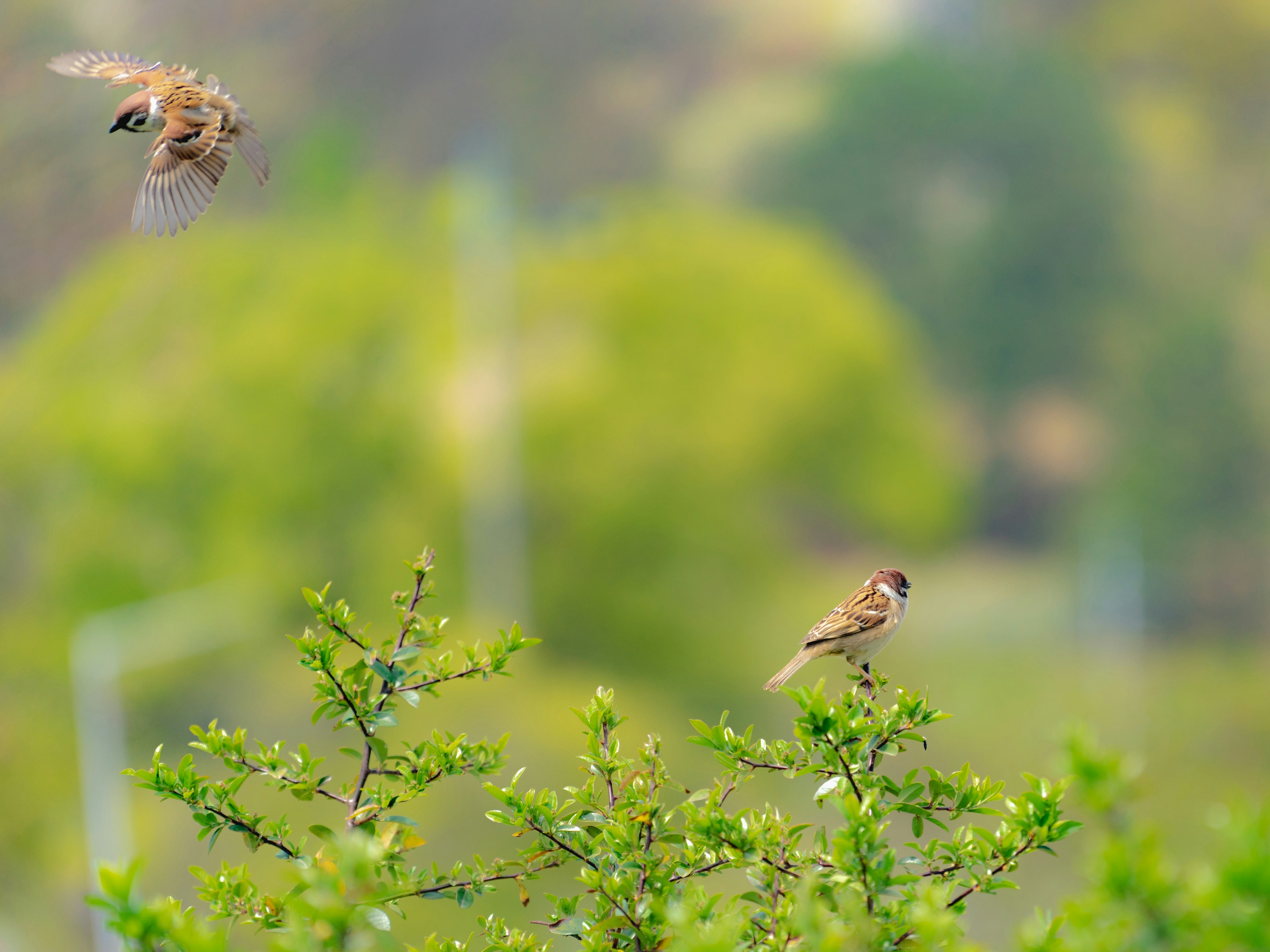 Photo by jjickjjicks