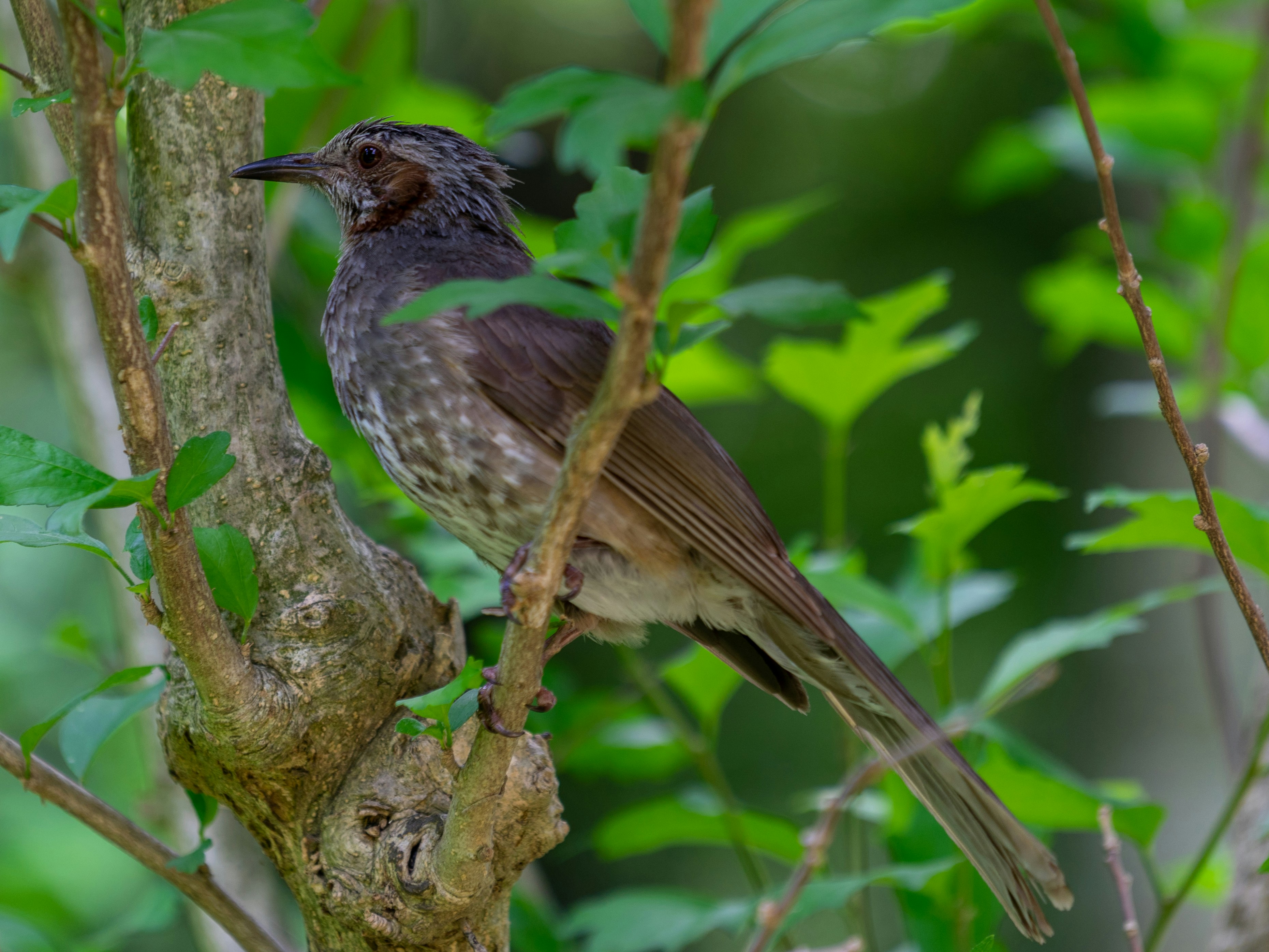 Photo by jjickjjicks