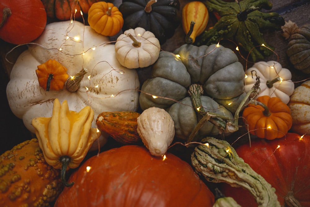 variety of pumpkin vegetables