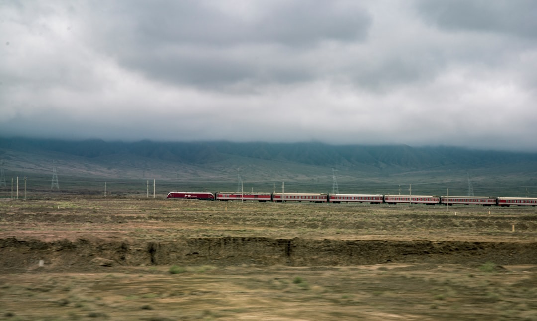 red and gray train