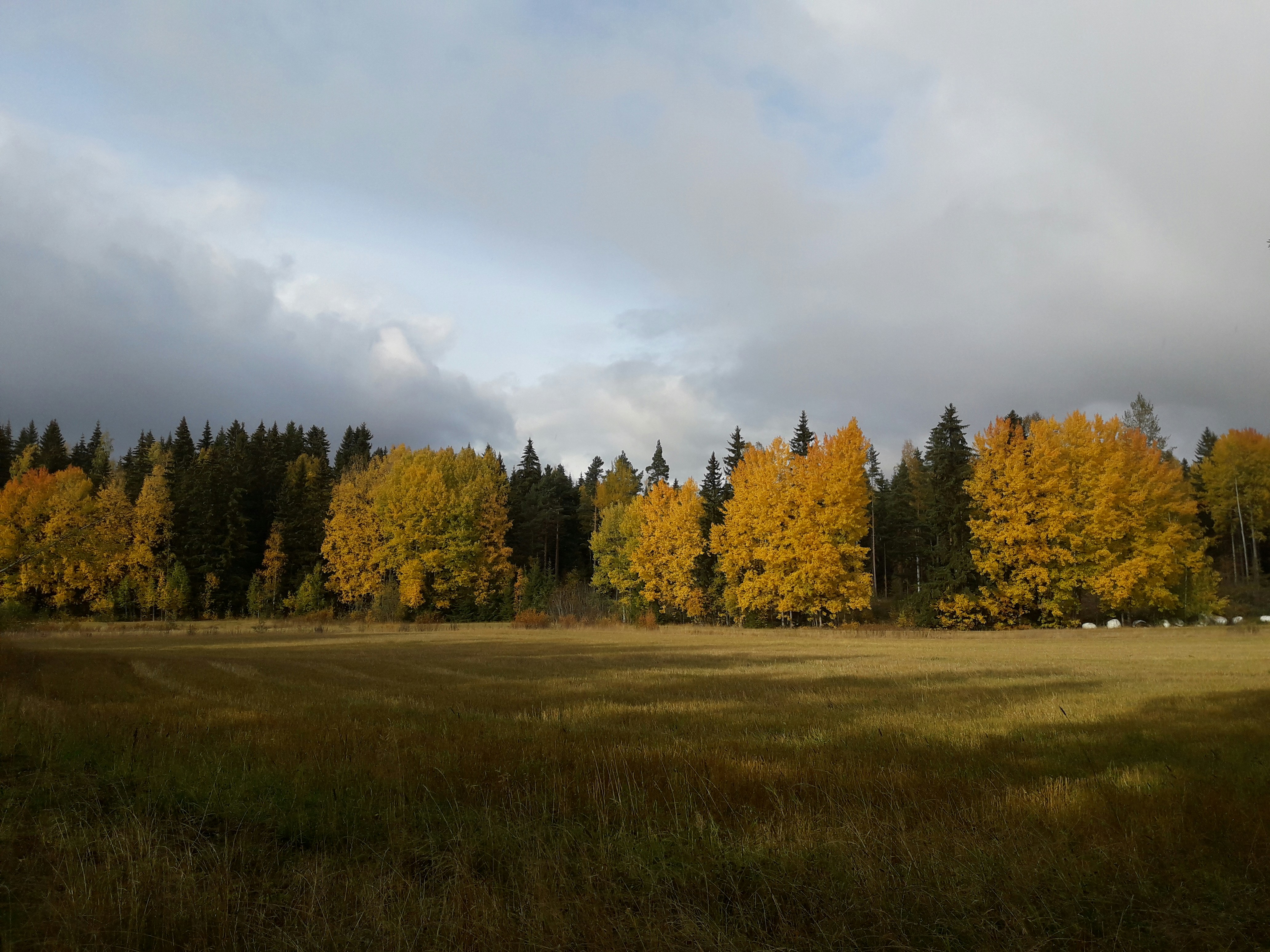 Photo by northernpagan