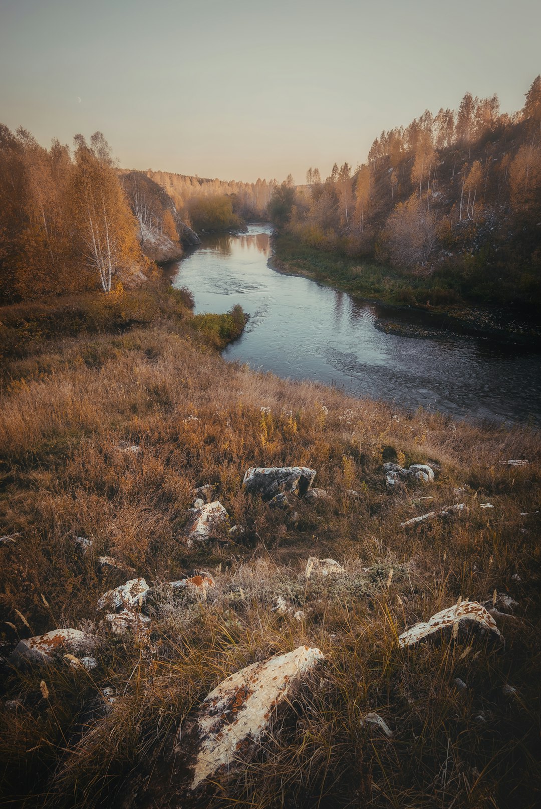 river beside grass and tree field