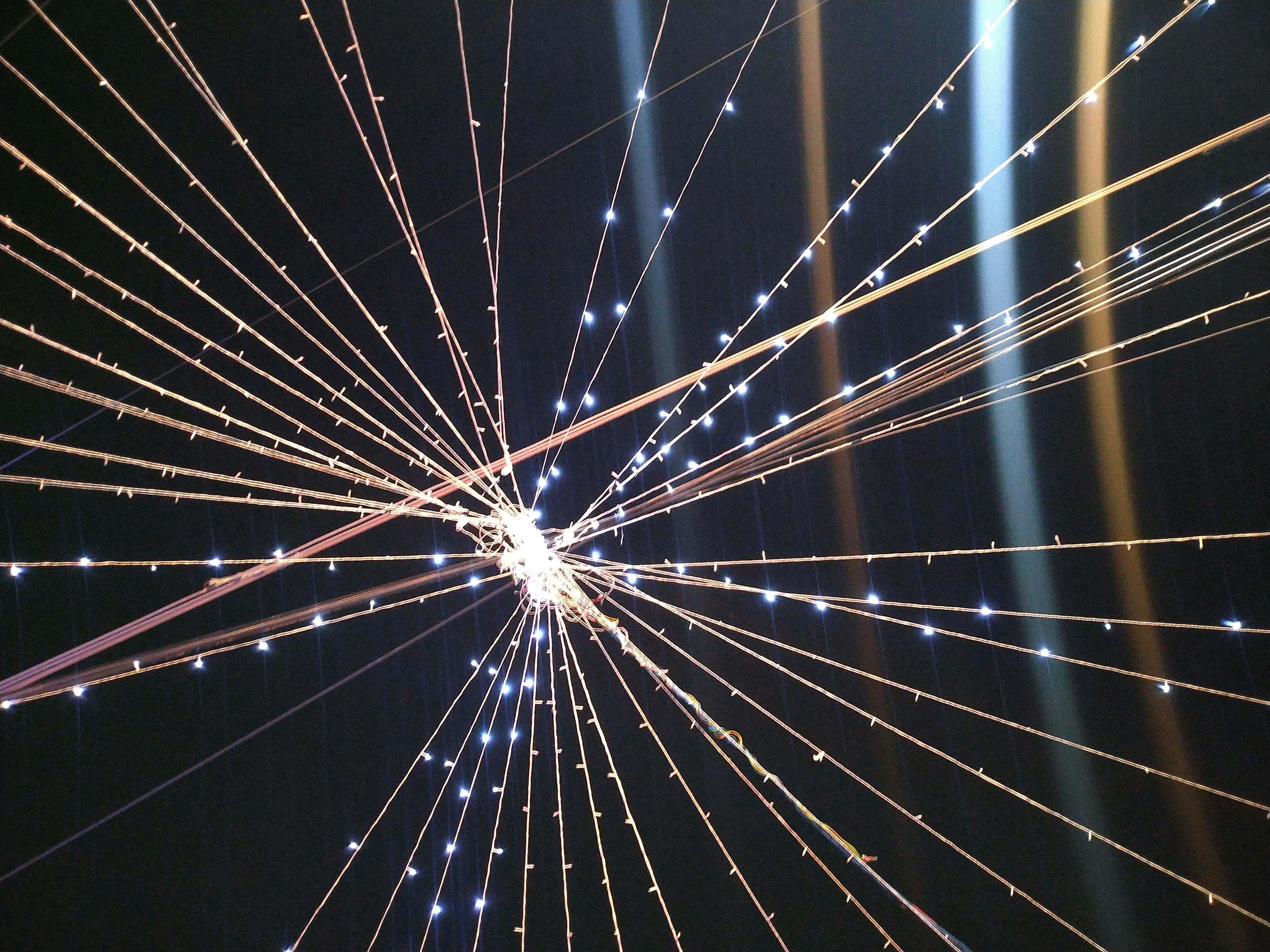 Photo by montusahu15