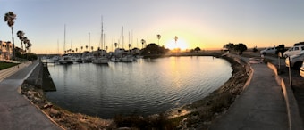 A calm body of water reflects a warm sunset, surrounded by docks filled with sailboats and yachts. Tall palm trees line the waterfront, and a few people stroll along a paved path. Cars are parked along the street on the right side. The atmosphere is serene and peaceful.