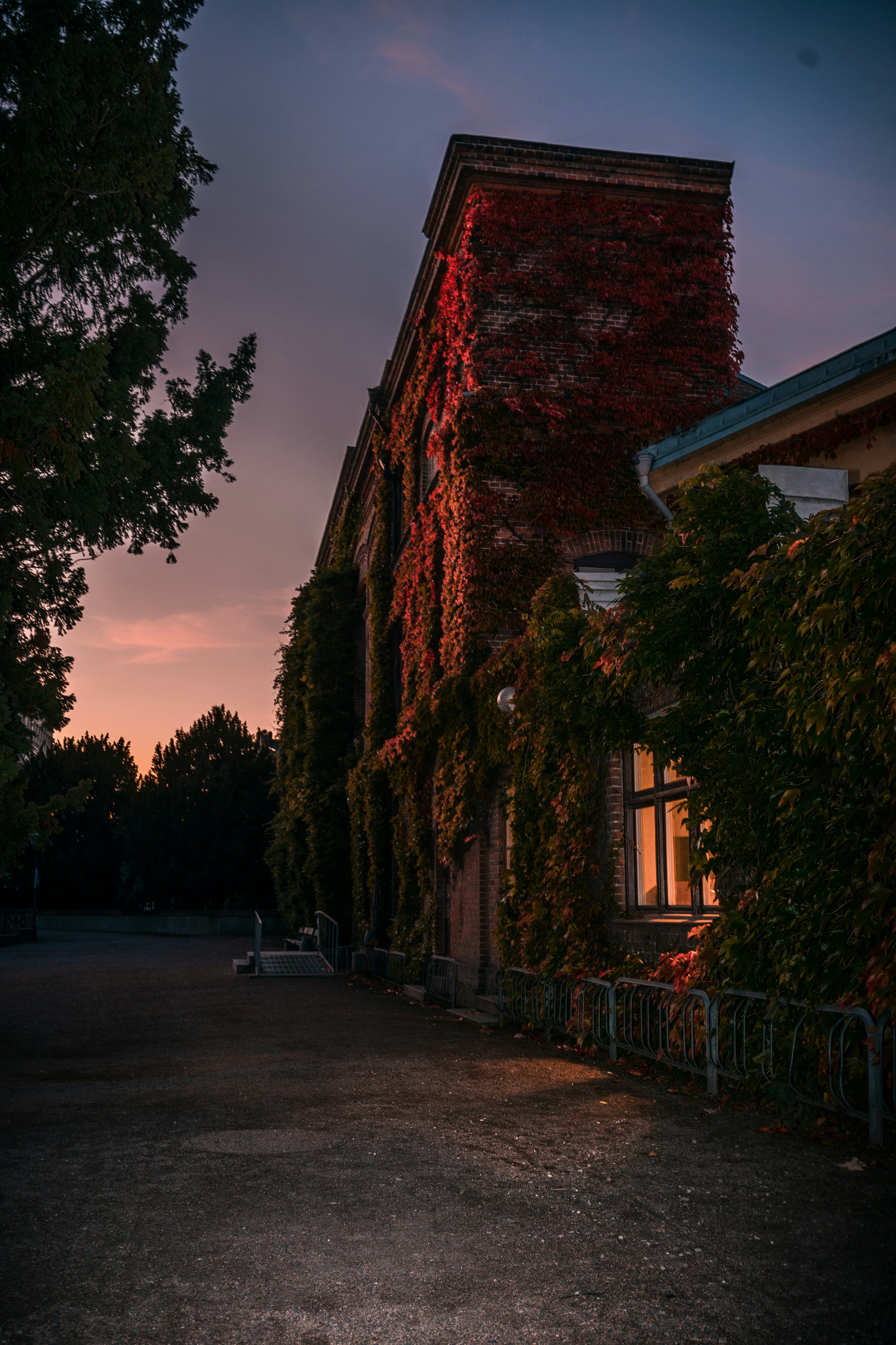 Photo by karljkhedin
