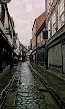 people walking on street during daytime