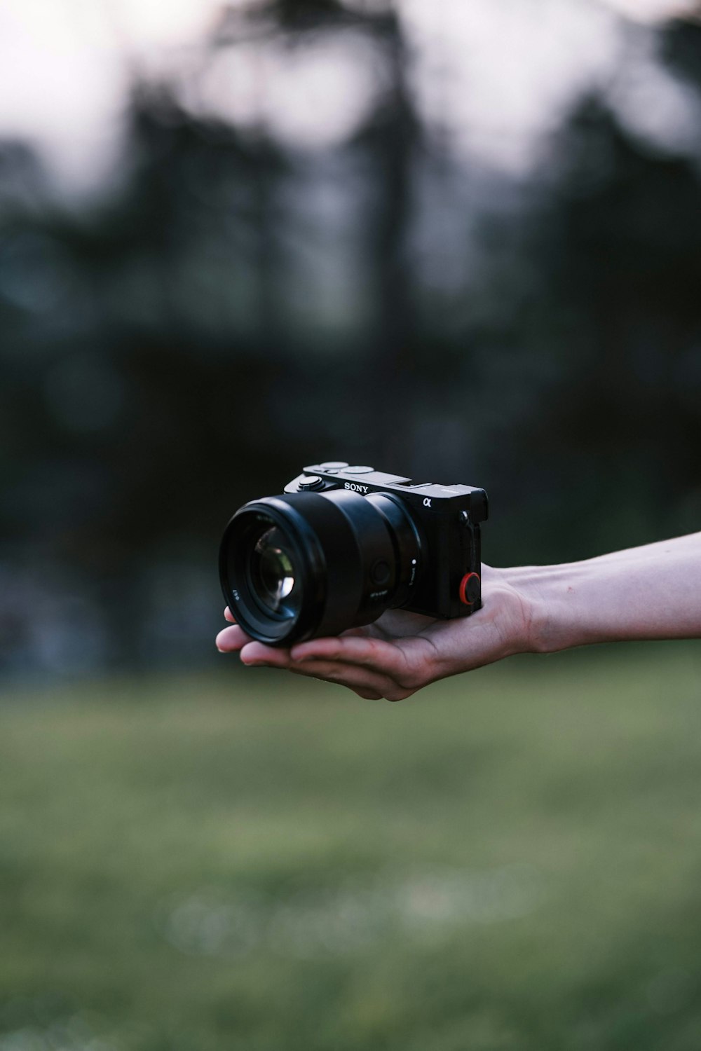 selective focus photo of person holding DSLR camera