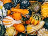 closeup photo of squash