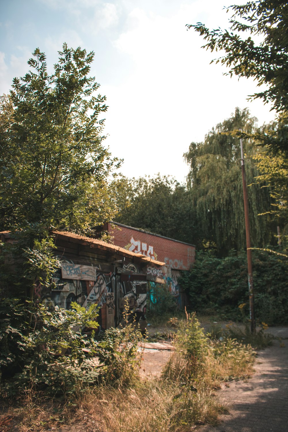 abandoned building near trees during day