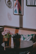 Two neighbors helping each other install a painting in a cozy living room filled with plants