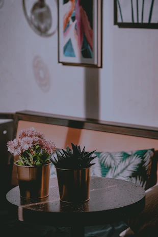 Two neighbors helping each other install a painting in a cozy living room filled with plants