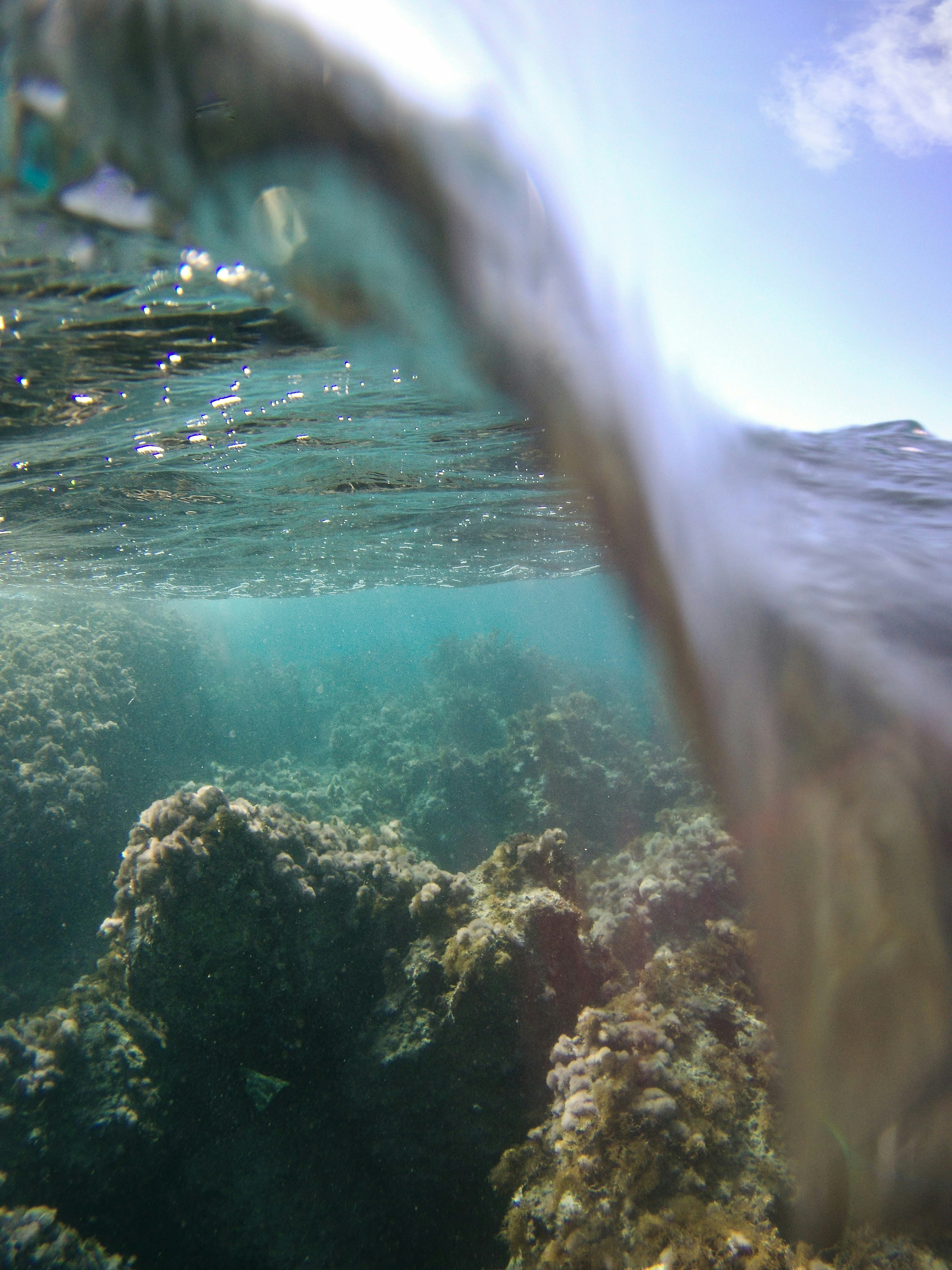 Photo by simonkuznetsovphoto