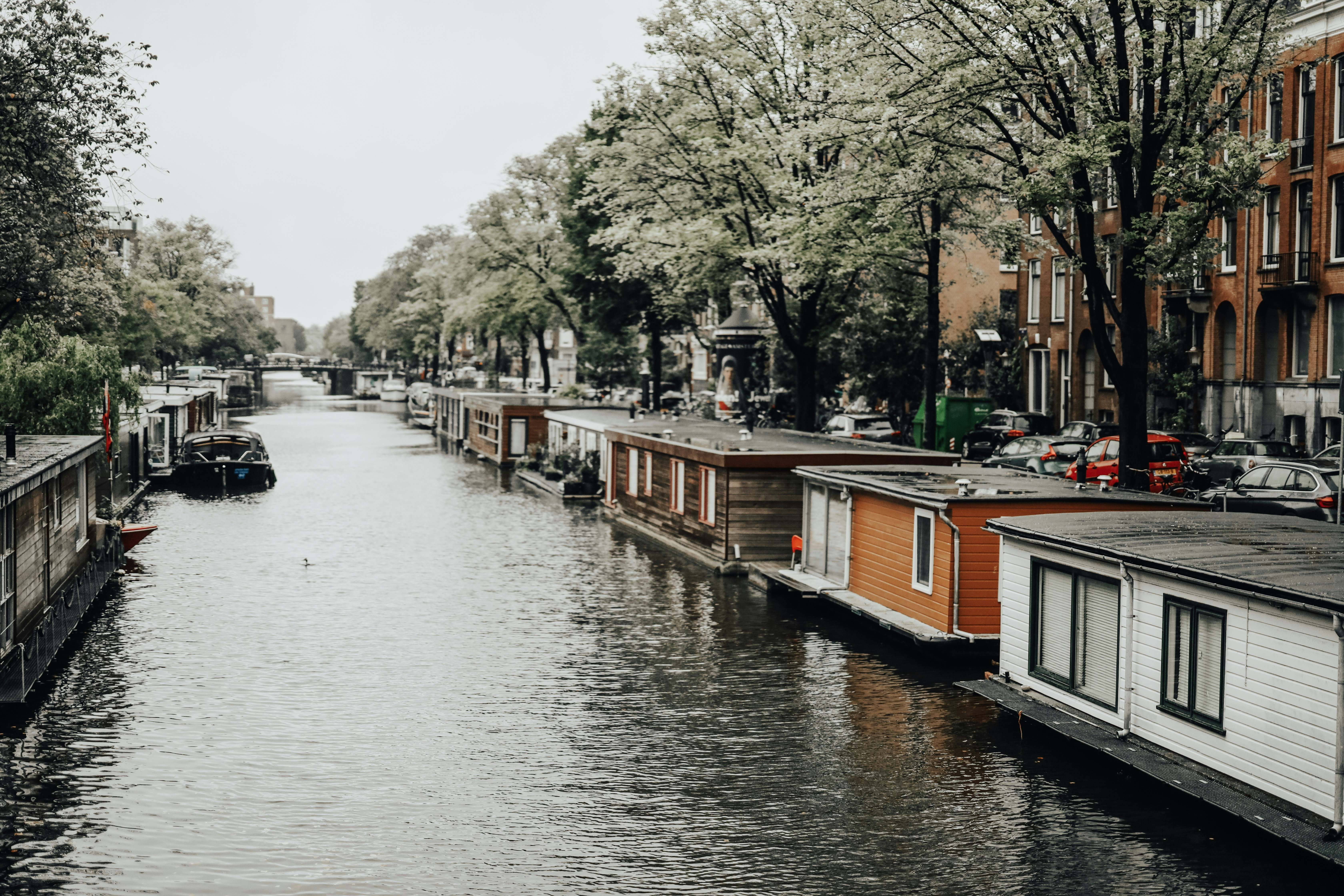 Photo by iambeatrizbraga