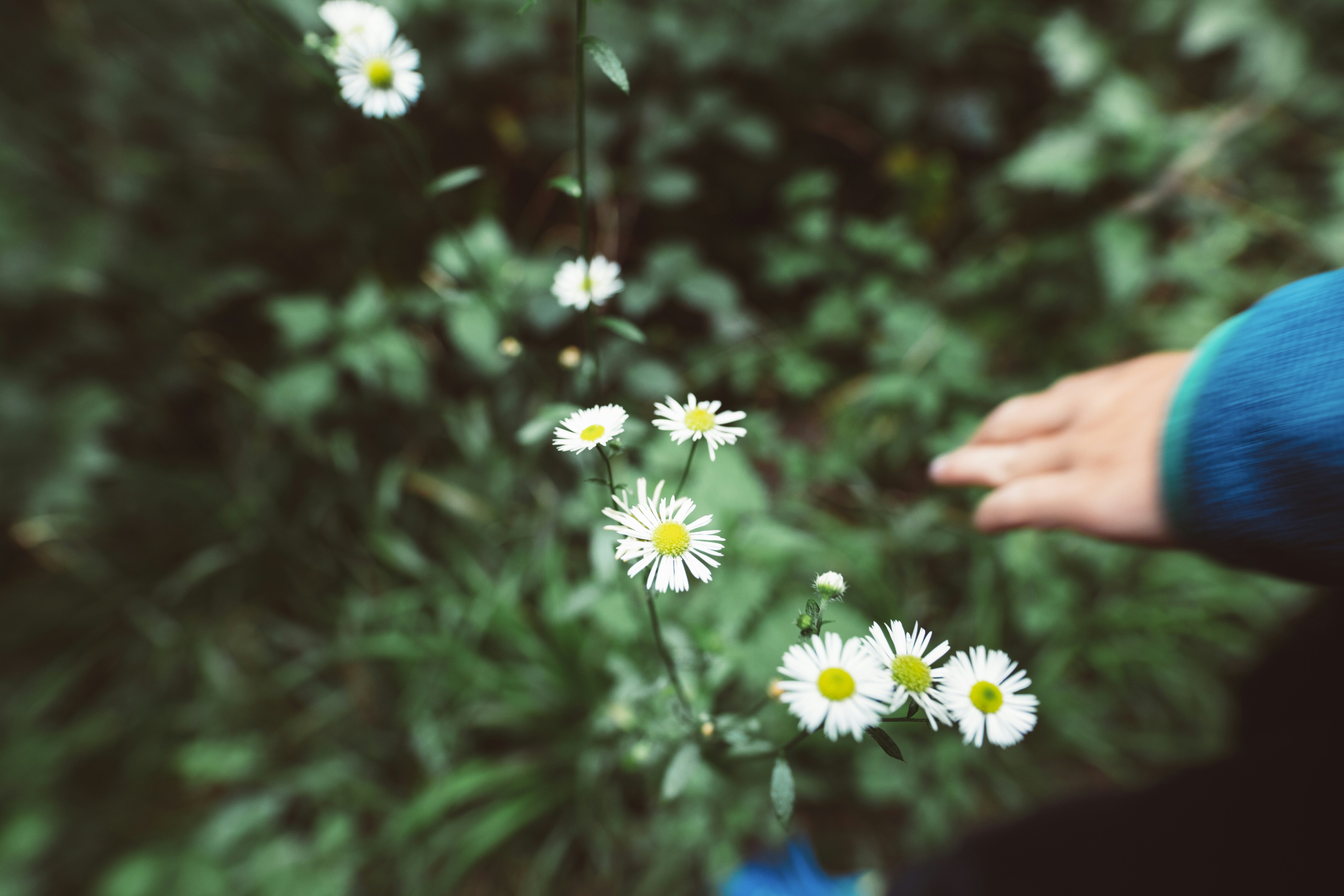 Photo by markusspiske