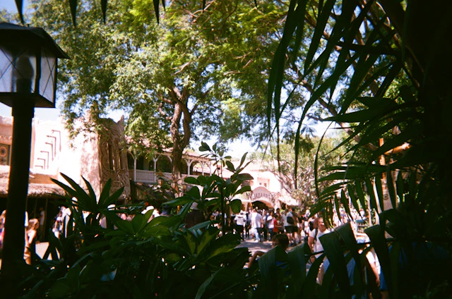 A lush outdoor market scene framed by green foliage and palm leaves. A large tree provides shade over a busy area with crowds of people walking. The architecture includes exotic designs with intricate patterns. The word 'bazaar' is visible on a sign above a storefront.