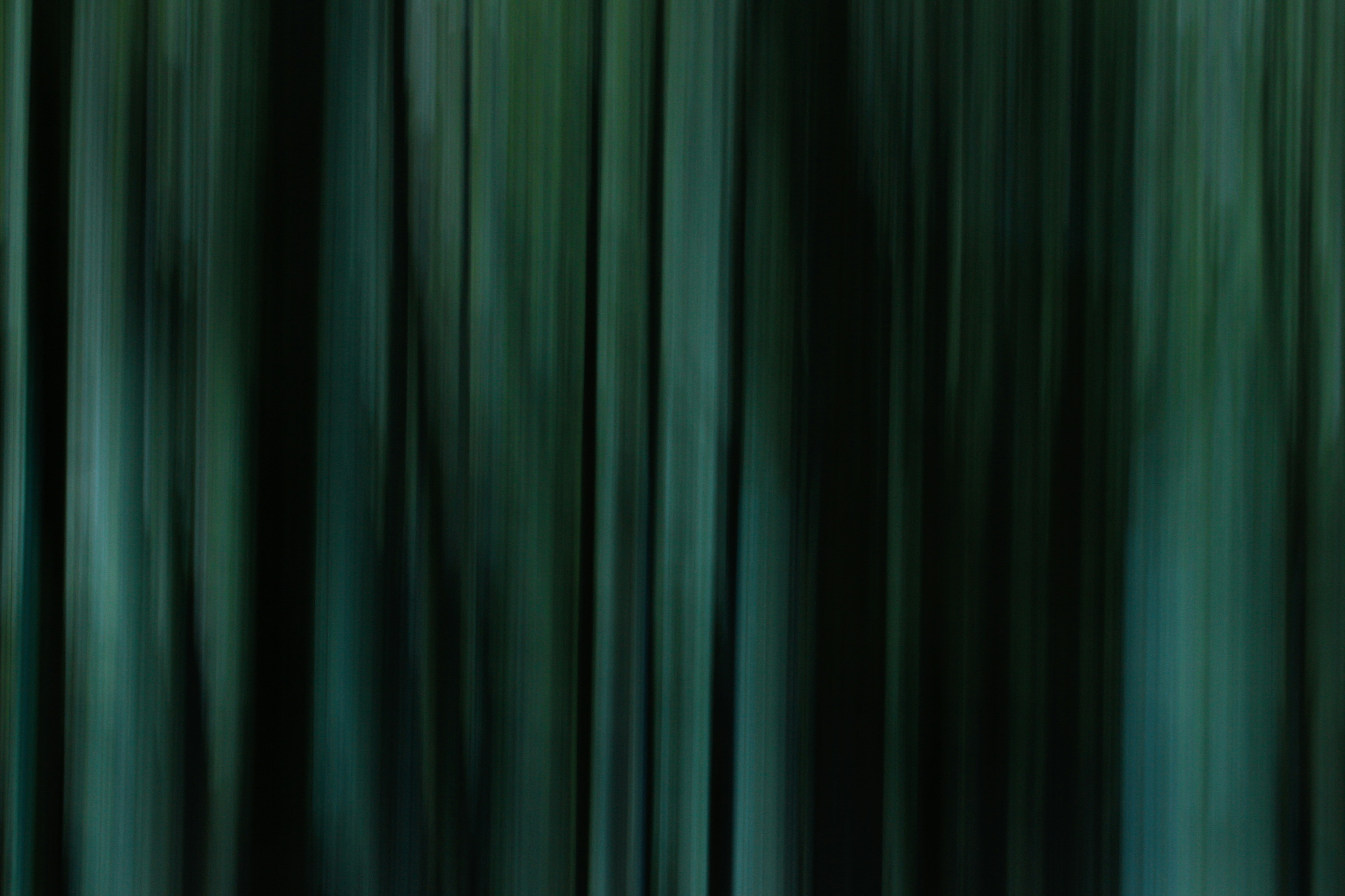 Photo by sahand_hoseini