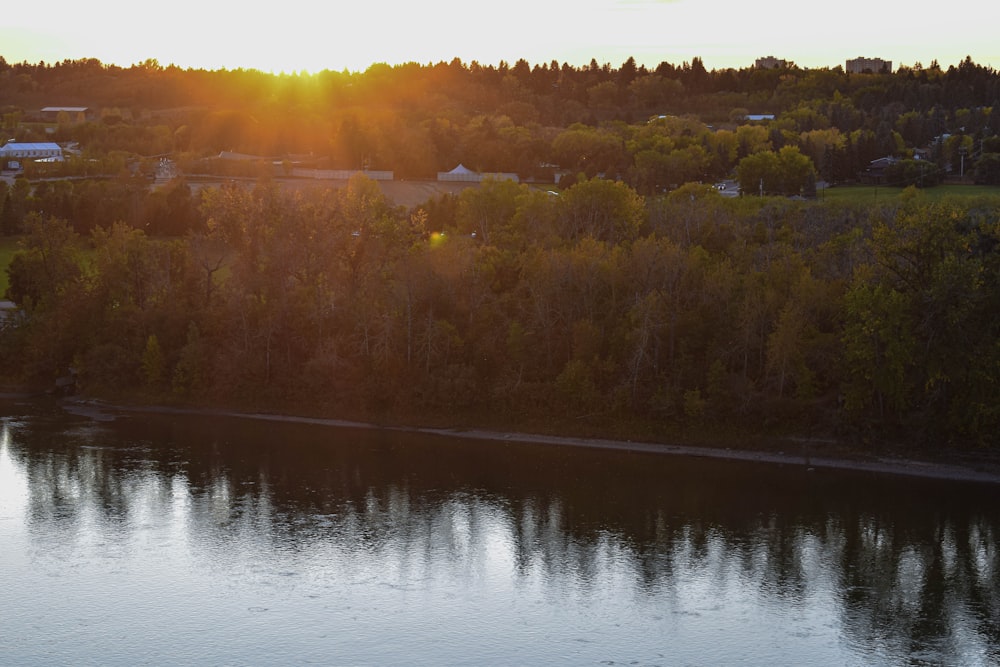 body of water beside forest, road, and buildings during day