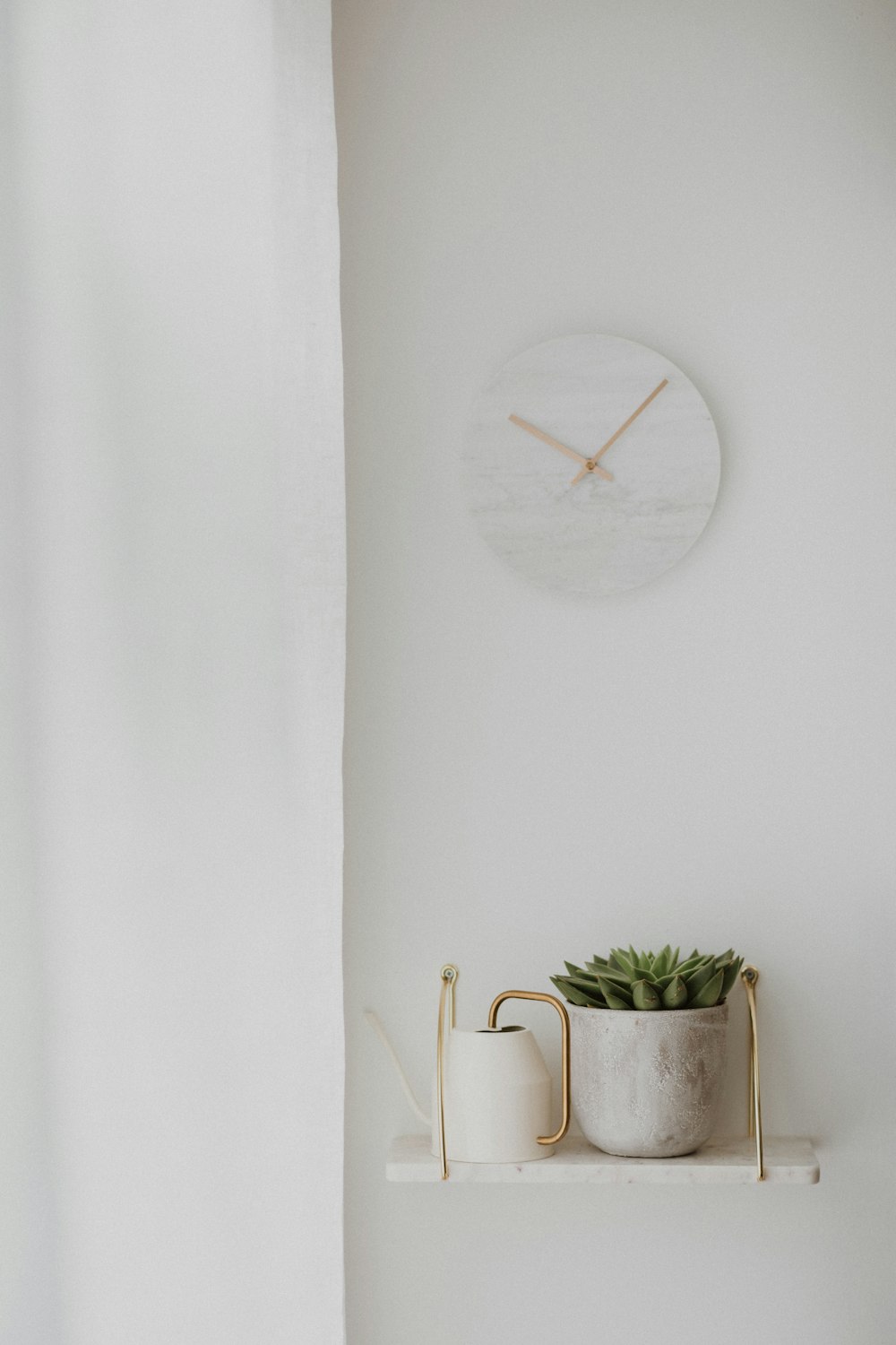 white potted succulent plant on floating shelf