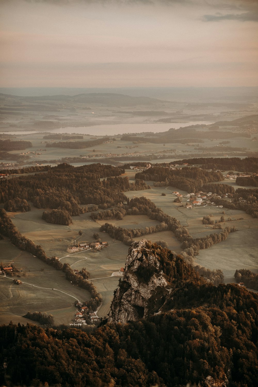 view of trees in aerial photography