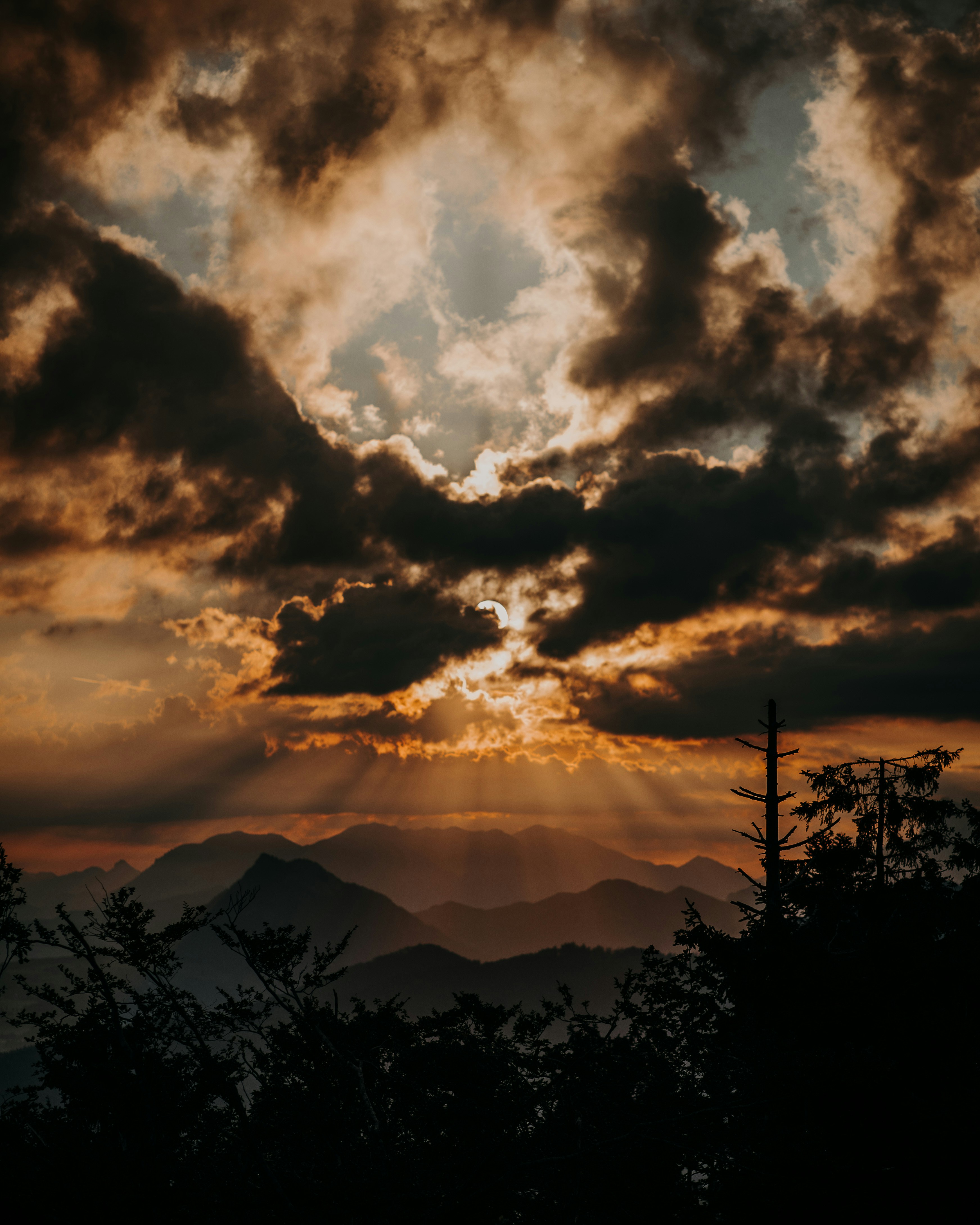 Photo by patresinger