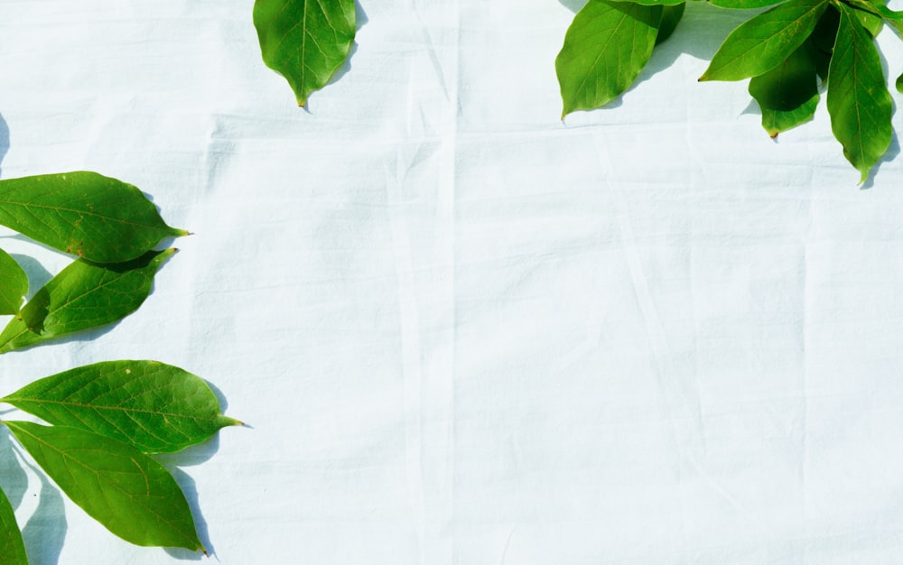 Grüne Blätter auf weißem Textil