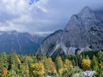 mountains and tree under heavy clouds