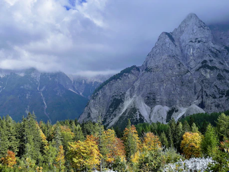 mountains and tree under heavy clouds