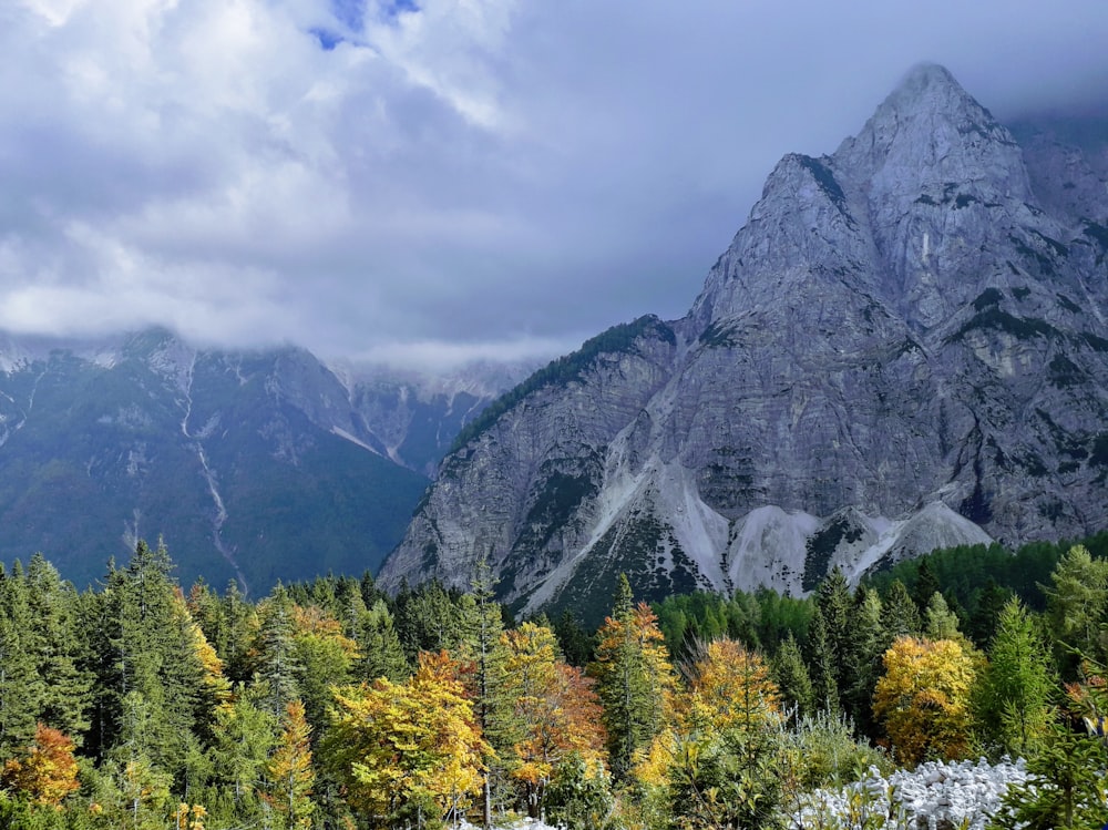 montagnes et arbres sous de lourds nuages