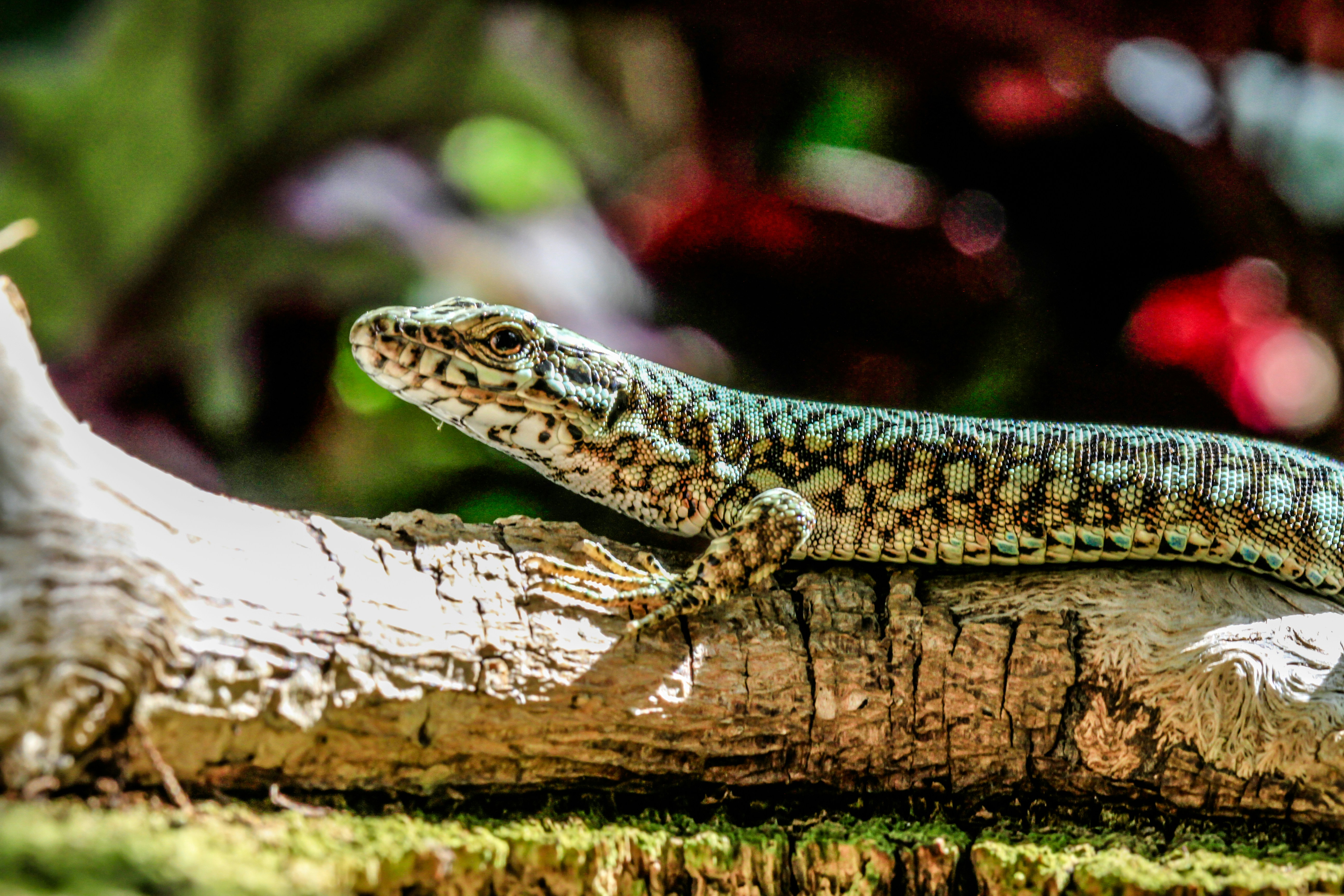 Photo by alightproduction_by_sabrinawendl