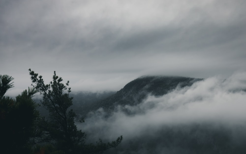 mountain with fog