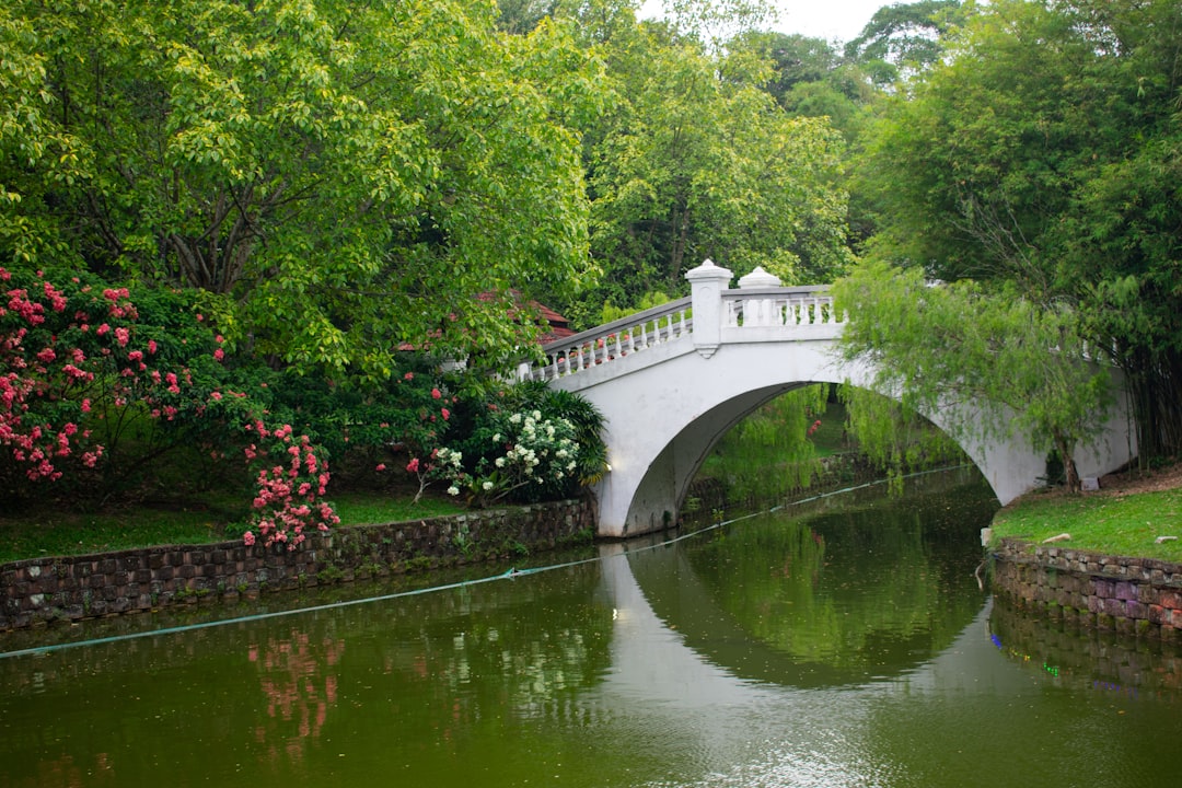 travelers stories about Humpback bridge in Perdana Botanical Gardens, Malaysia