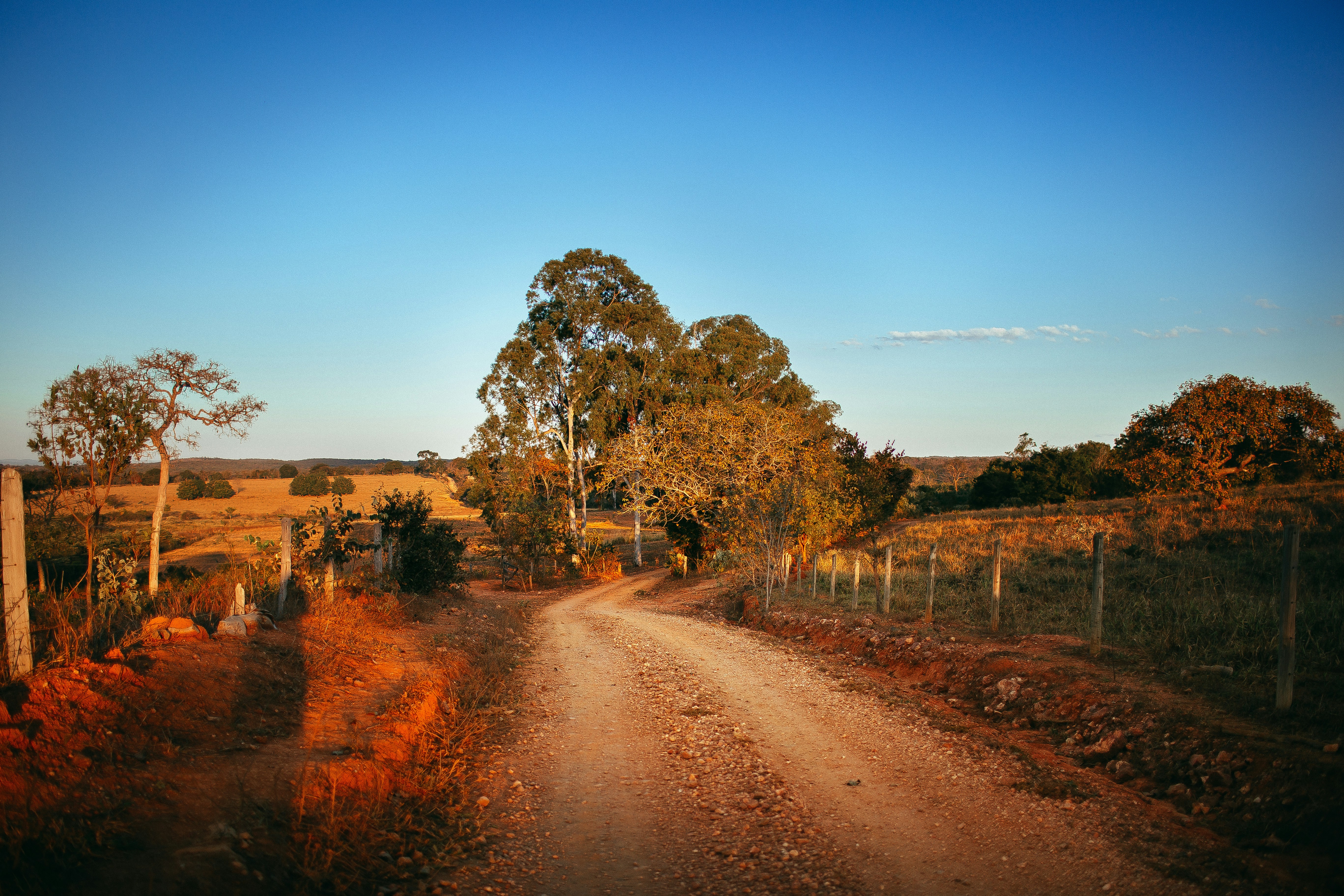 Photo by helenalopesph