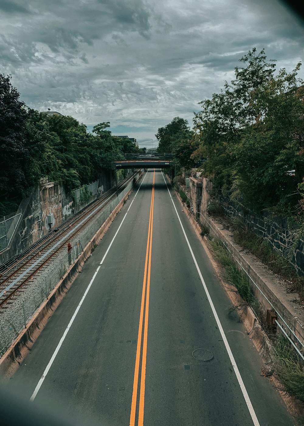 empty road way surrounded by trees