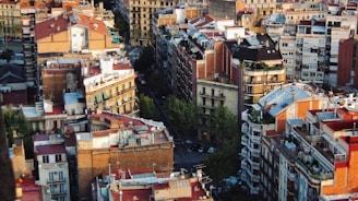 An aerial view of an urban area with various residential buildings closely packed together. The structures are mainly composed of brick and concrete, displaying a mix of architectural styles. Trees and narrow streets are visible between the buildings, and the rooftops feature a variety of colors, including red, white, and gray.