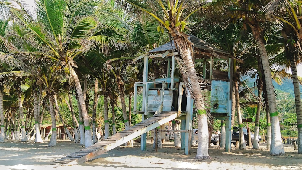 guard house near coconut trees