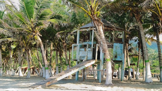 guard house near coconut trees in Cuyagua Venezuela