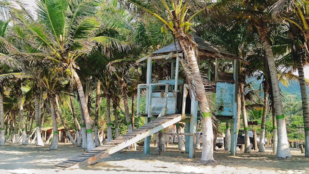 Casa de guardia cerca de cocoteros