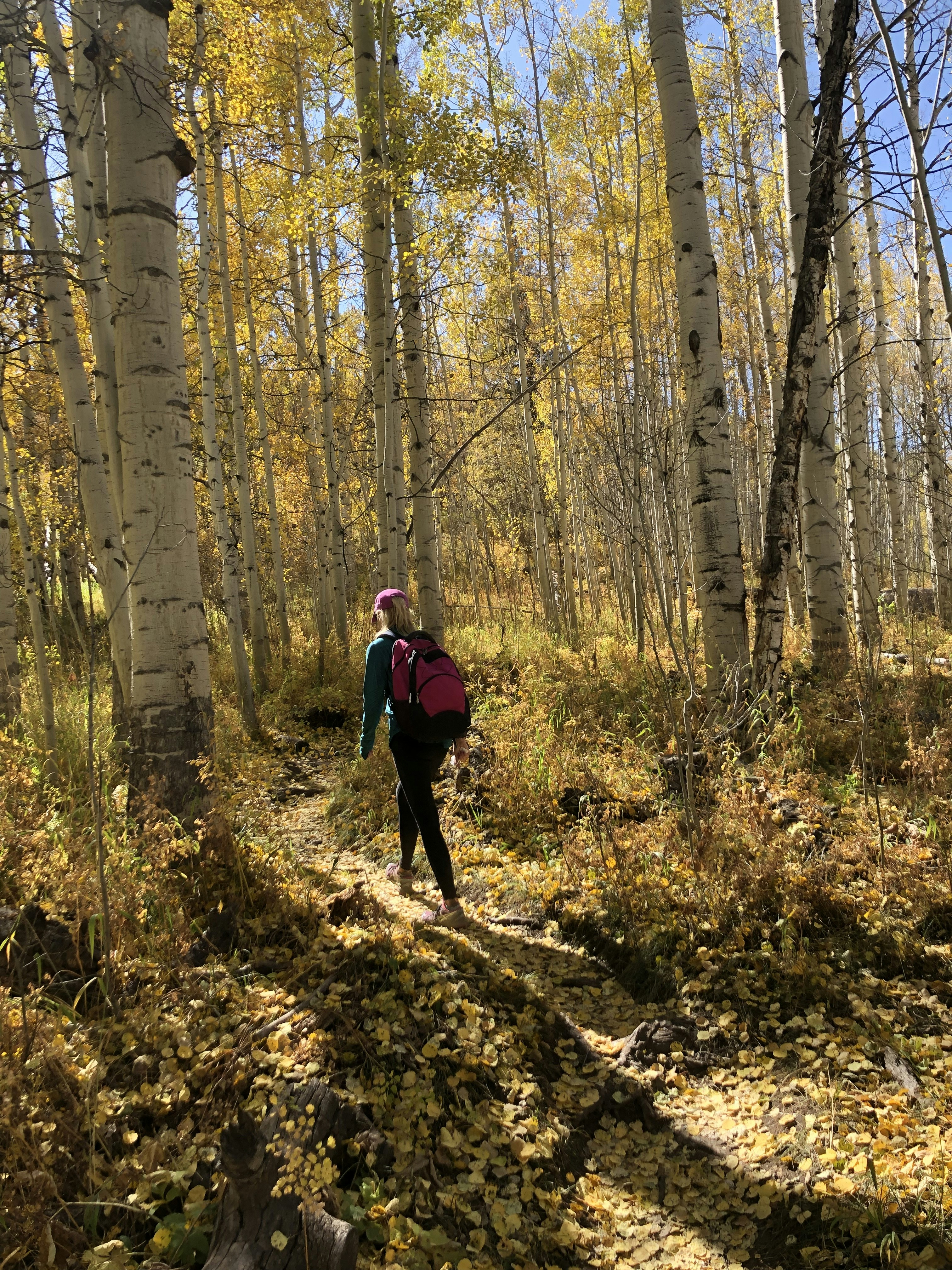 woman walking in woods