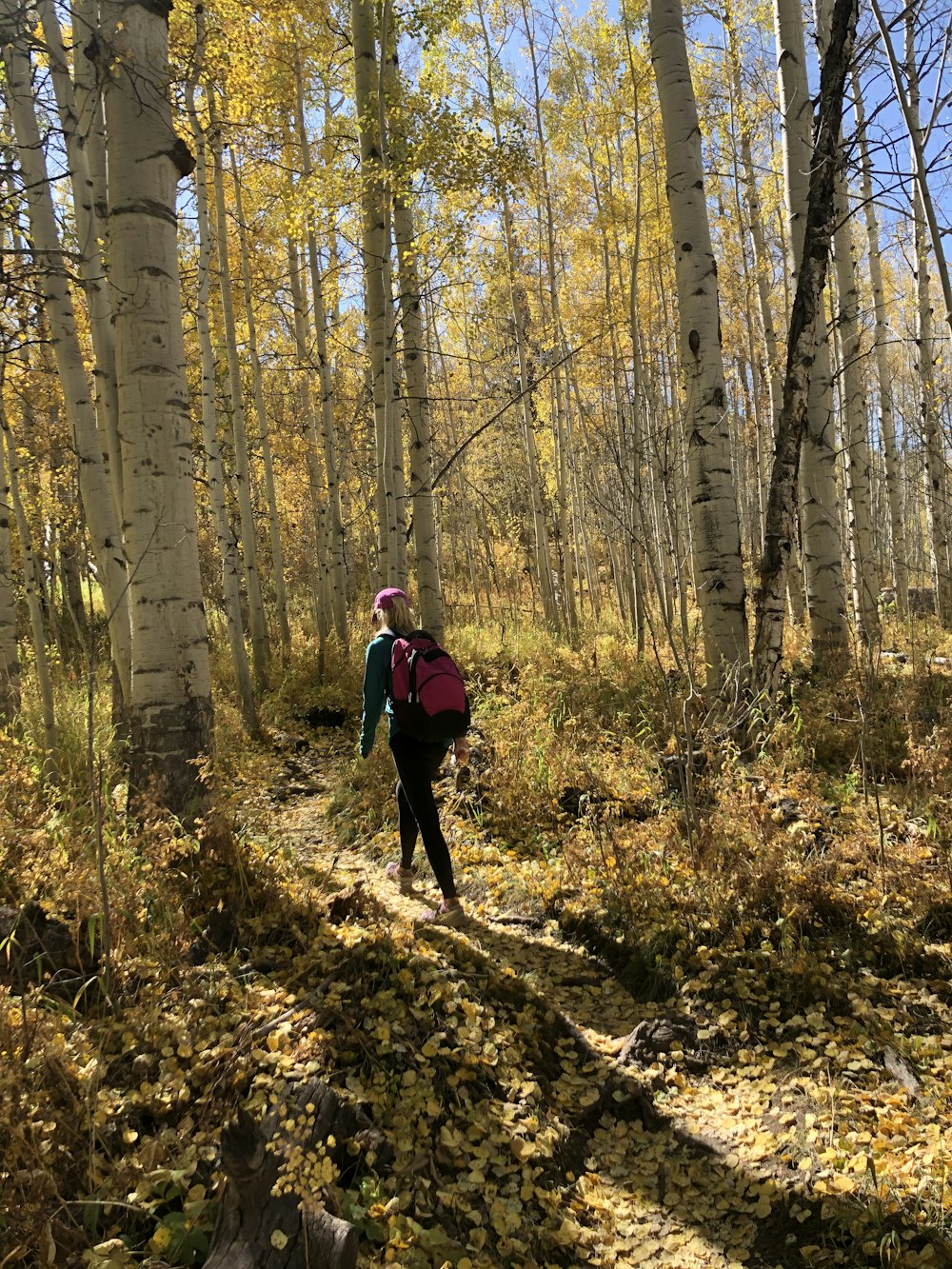 woman walking in woods