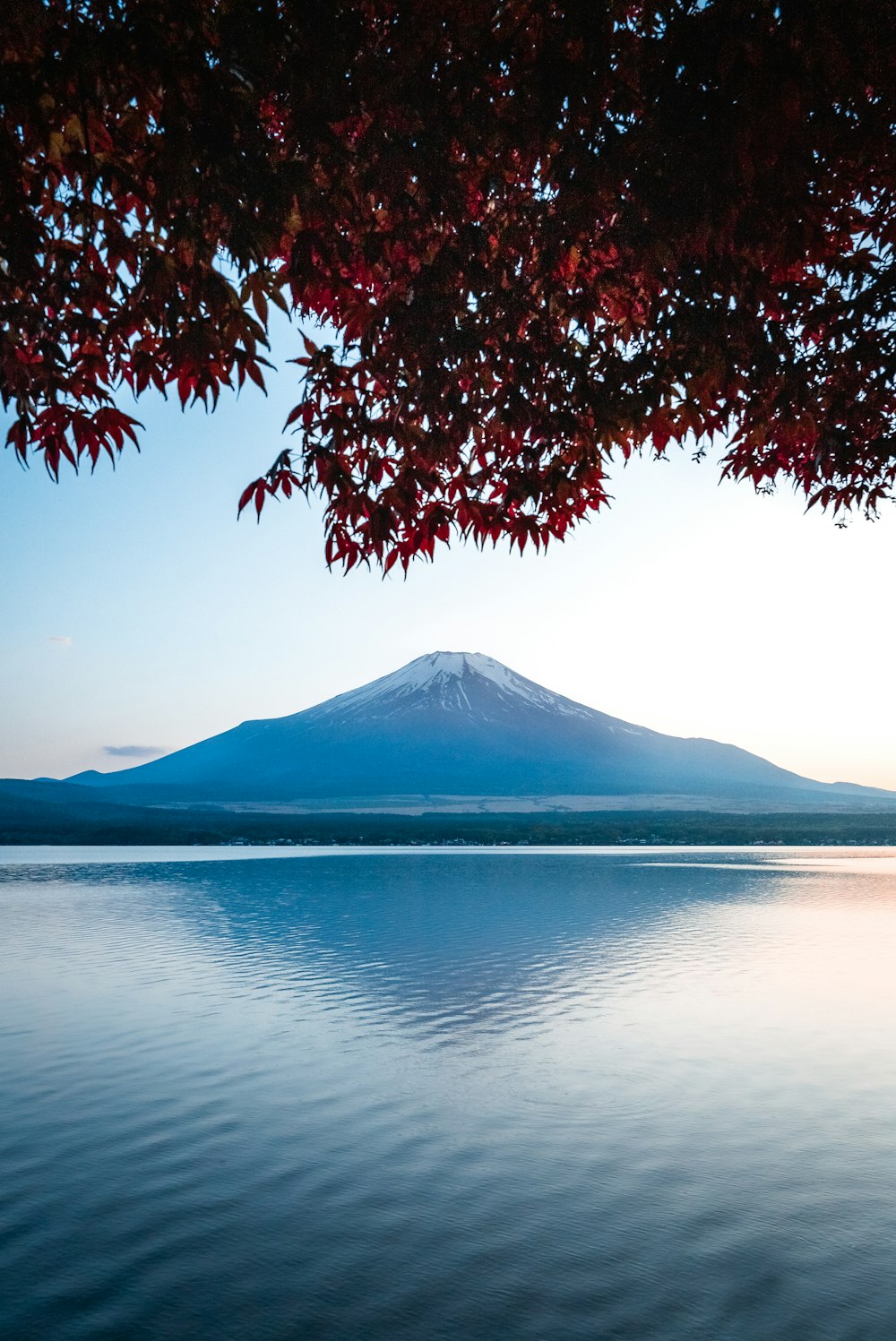 mountain near sea