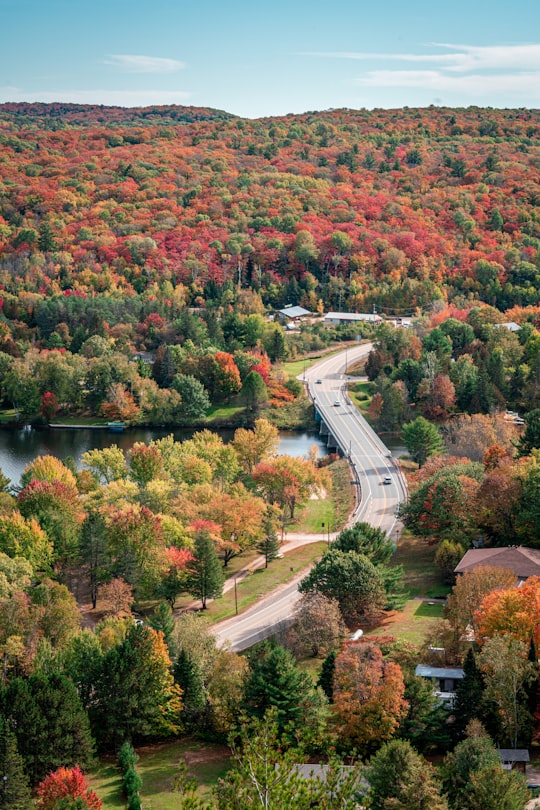 Dorset things to do in Algonquin Highlands